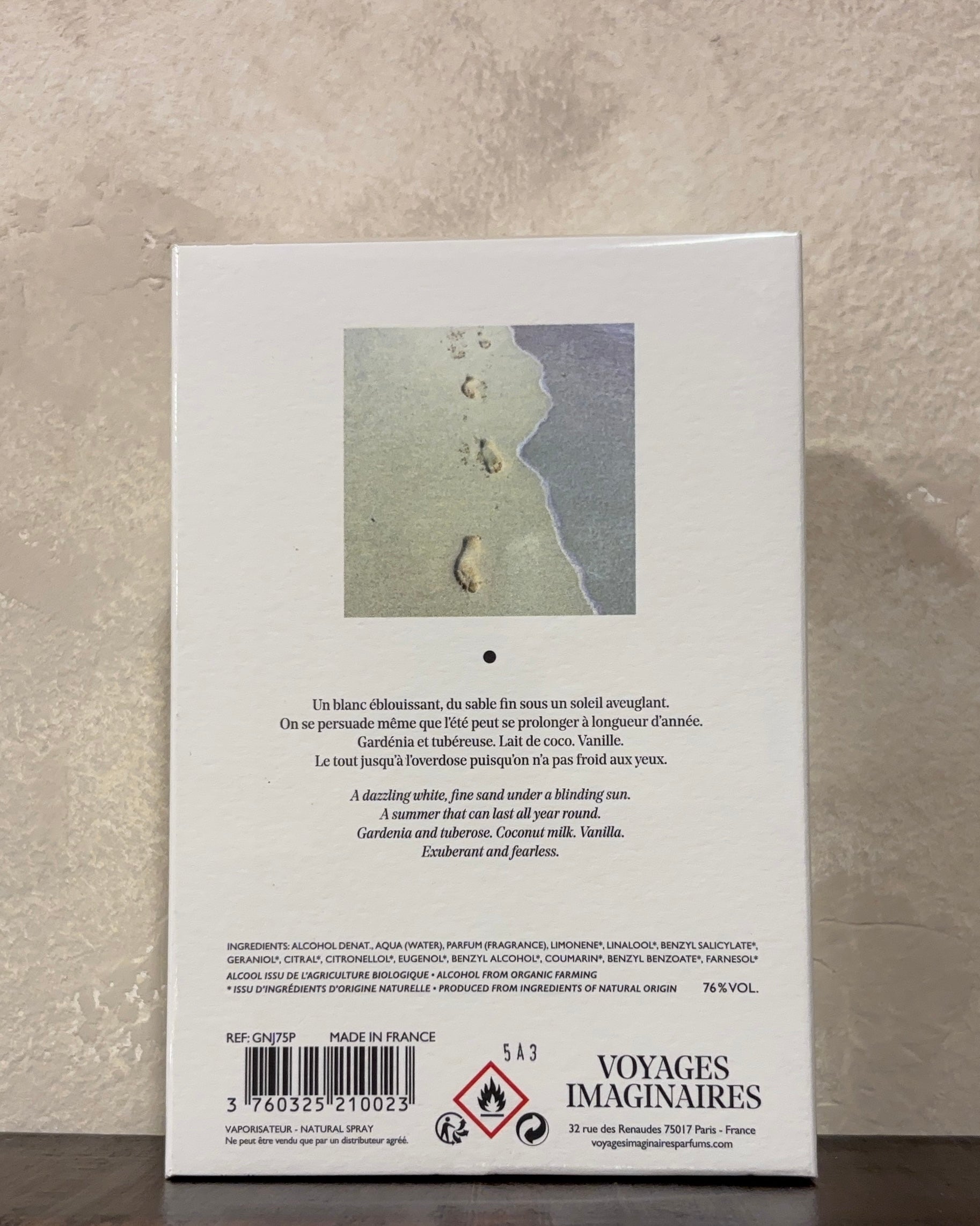 Le Grand Jeu - VOYAGES IMAGINAIRES